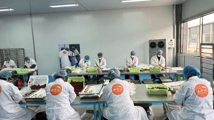 攜手阿里，智造未來(lái) 裕鑫博康借力淘工廠加速產(chǎn)業(yè)數(shù)字化升級(jí)